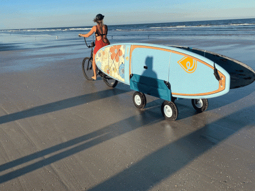 Bike-trailer-on-the-beach-e1711973639627-1200x1186